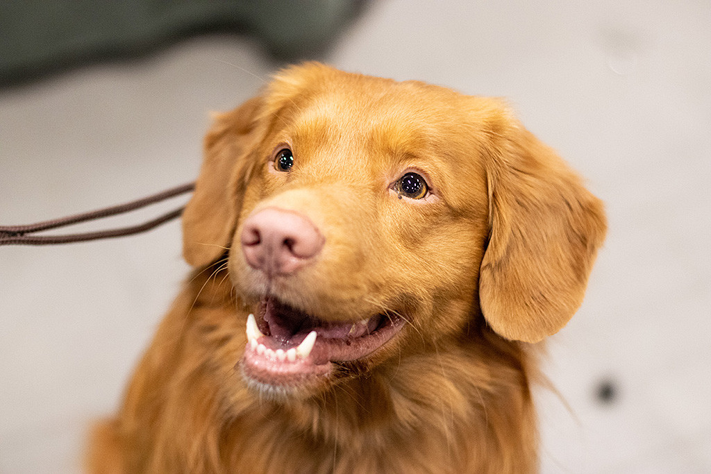 Edisons Kopf in Nahaufnahme während er schräg lächelnd nach oben schaut