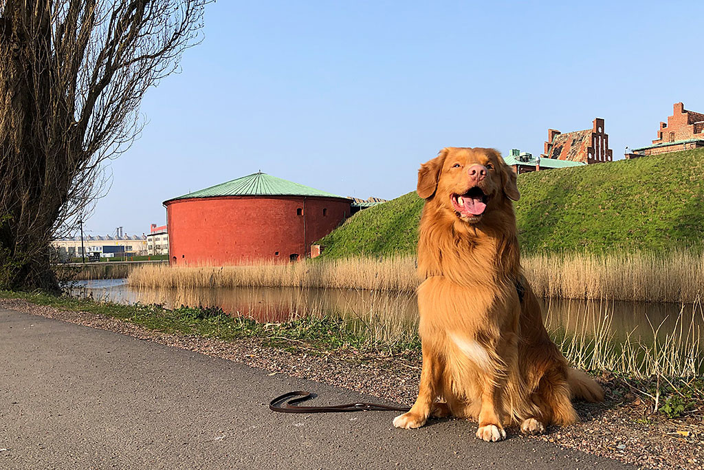 Edison sitzt lächelnd vor dem Burggraben des Malmöhus
