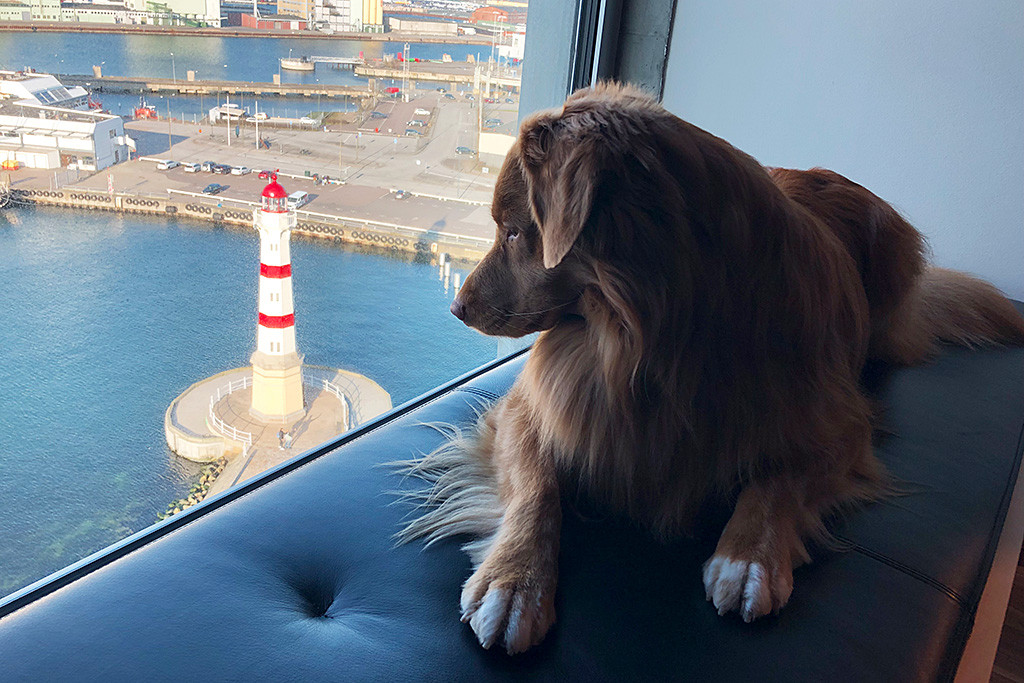 Edison blick aus dem Hotelfenster gen Hafen, unten ist ein Leuchtturm zu sehen