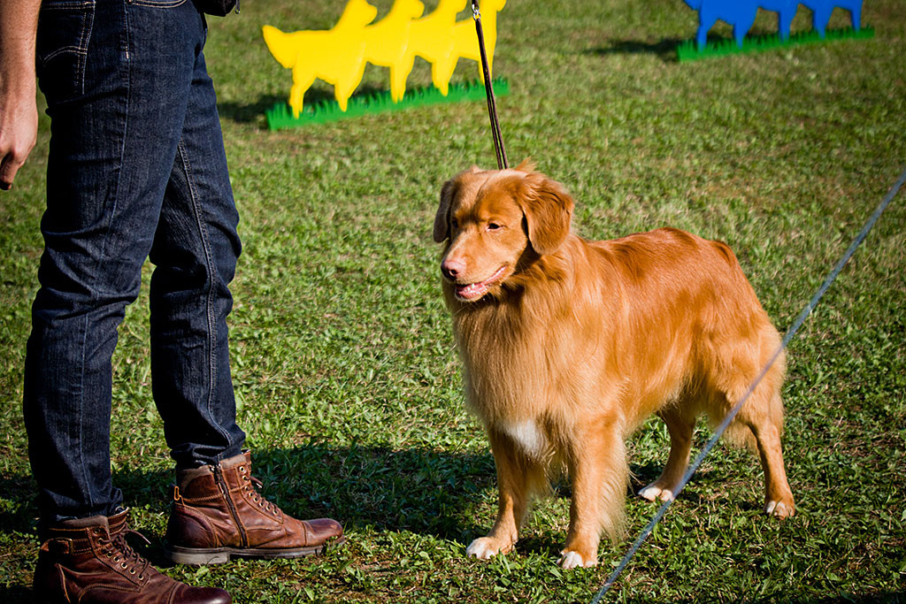 Edison steht still vor Stephan für den Richterbericht