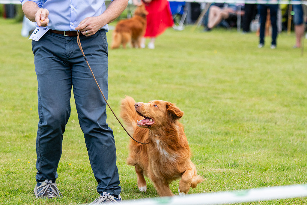 Newton schaut ganz aufmerksam bei der Wende auf der Geraden hoch zu Stephan