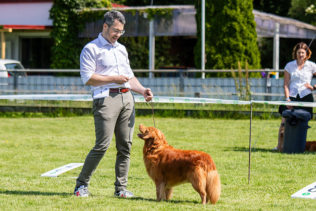 Edison steht frontal vor Stephan in Pose und schaut lächelnd zu ihm hoch