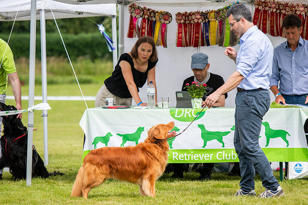 Edison steht lächelnd an Stephans Seite vor dem Richtertisch, hinter dem die Richterin den Bericht diktiert