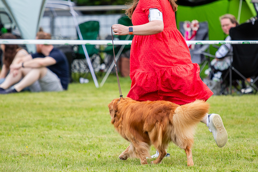 Edison läuft an der Seite von Ann-Kathrin durch den Ring