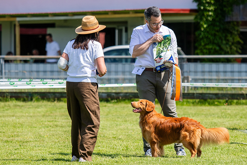 Newton schaut lächelnd hoch zu Uli, die Stephan gerade den Sack Futter als Siegesprämie überreicht hat