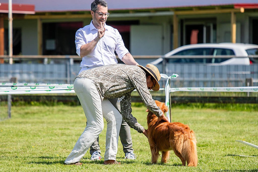 Newton wird vom Richter abgetastet und steht dabei wie eine Eins