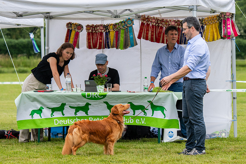 Newton steht lächelnd an Stephans Seite vor dem Richtertisch, hinter dem die Richterin den Bericht diktiert
