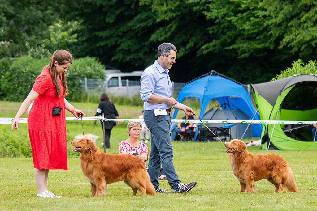 Edison und Newton stehen aufgereiht nebeneinander, dahinter Ann-Kathrin und Stephan