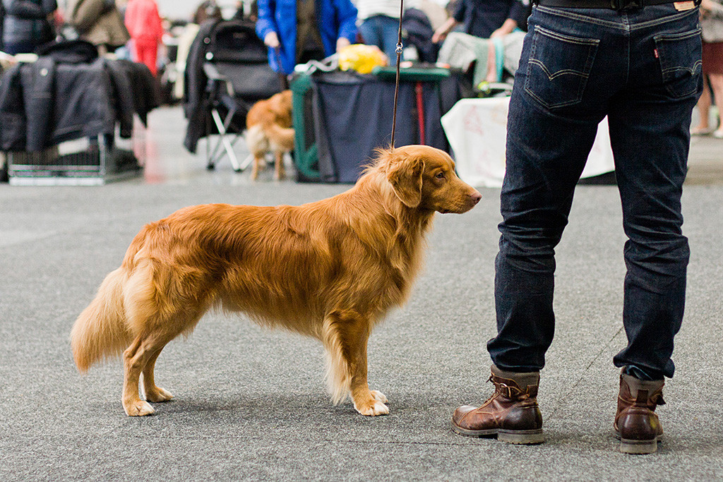 Edison steht mit perfekter Körperhaltung neben Stephan
