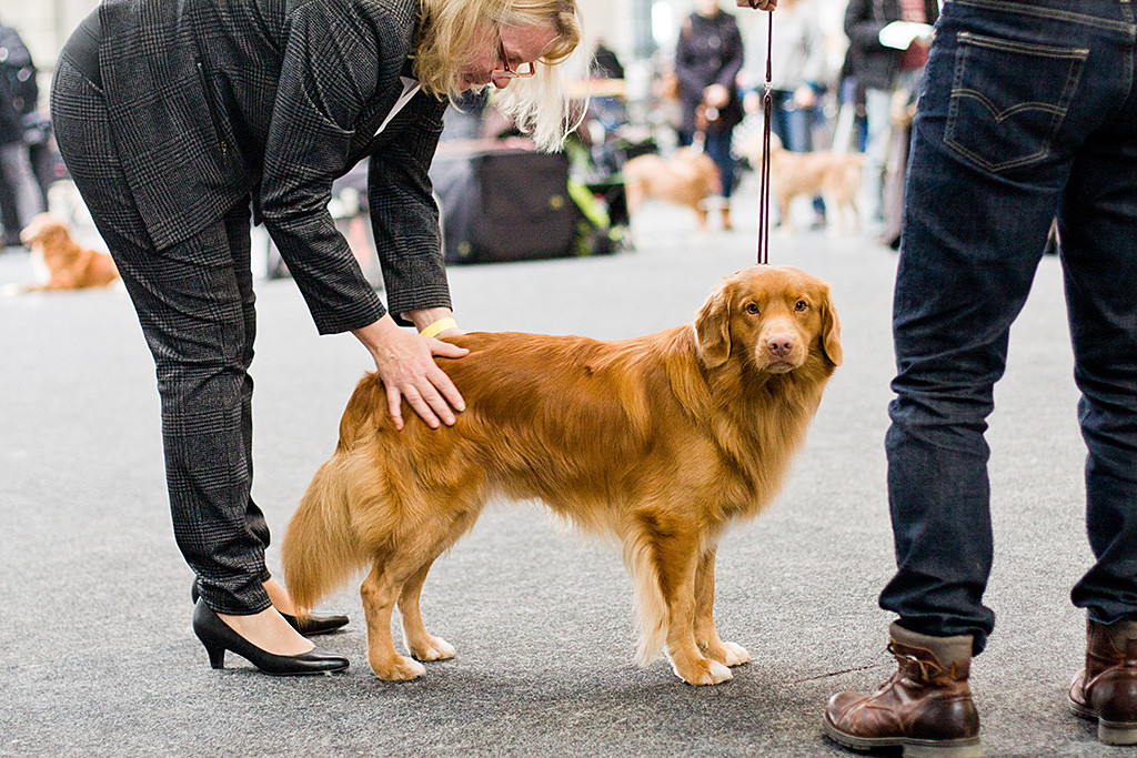 Edison wird von Richterin Christiane Lohmann abgetastet