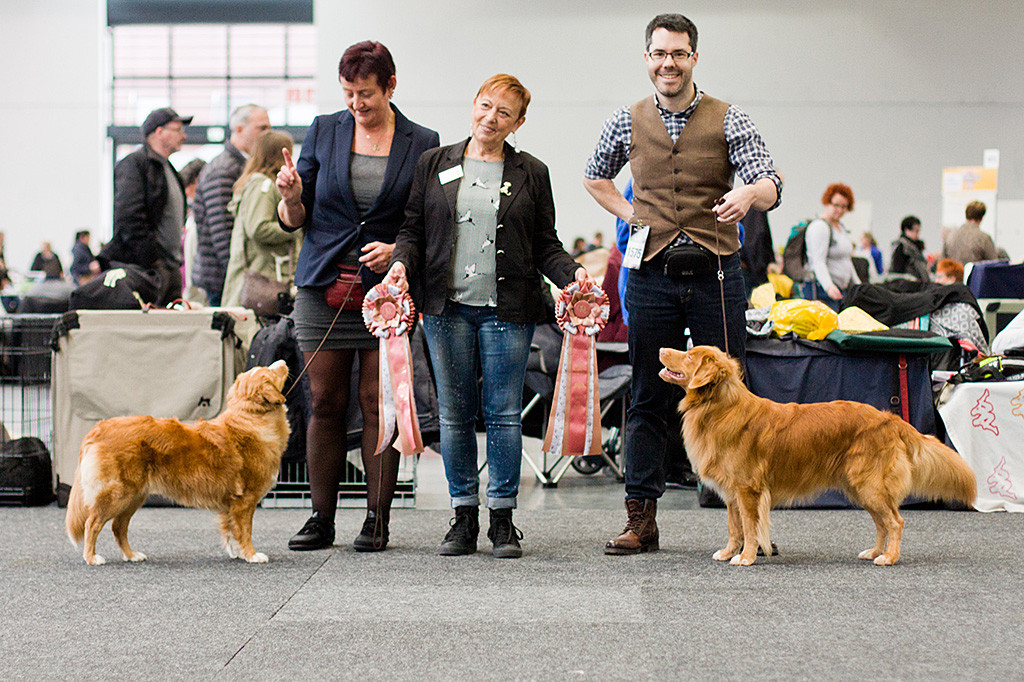 Edison beim Siegerfoto neben BOS-Hündin »Toller’s Delight Once in a Lifetime«, dazwischen Richterin Manola Pogessi, die die Schleifen hält