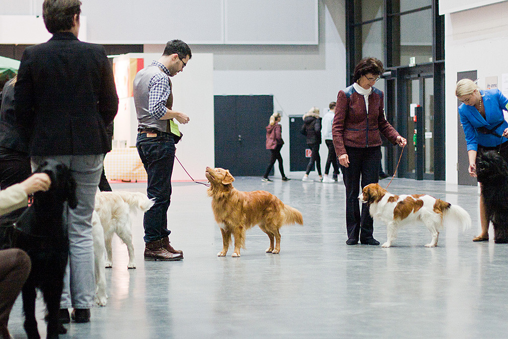 Edison steht hervorragend vor Stephan und schaut dabei zu ihm hoch