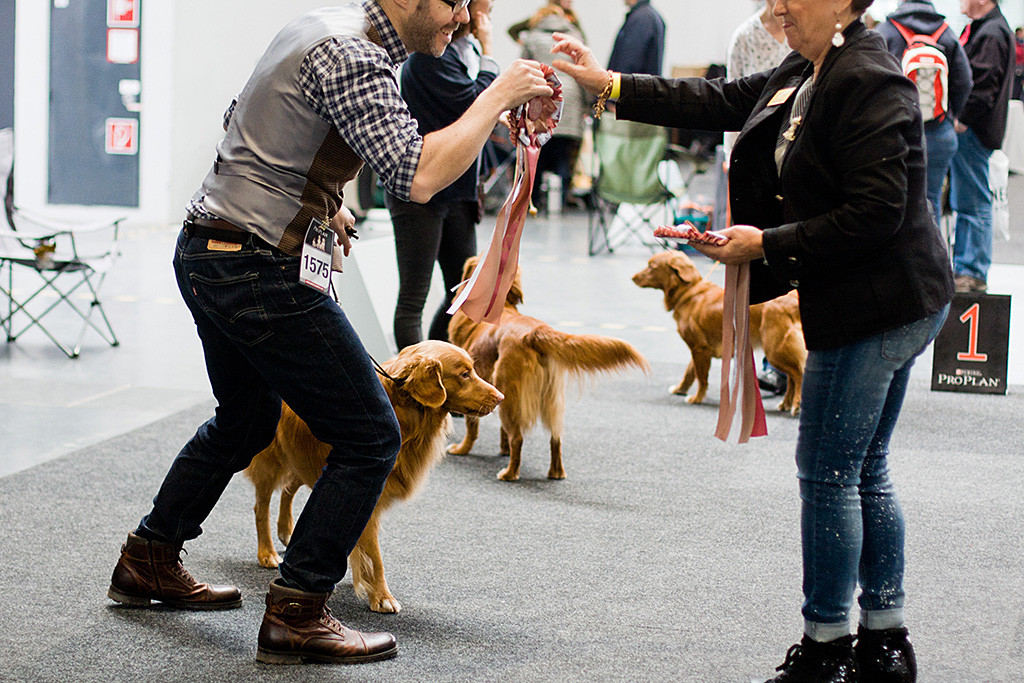 Edison wird Rassebester, die Richterin übergibt Stephan grinsend die BOB-Schleife