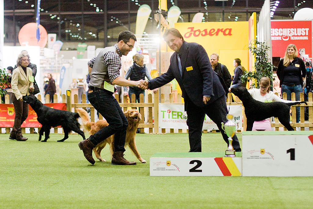 Edison wurde von Richters Leos Jancik, der Stephan gratuliert, zum zweitbesten Hund der Gruppe 8 gewählt