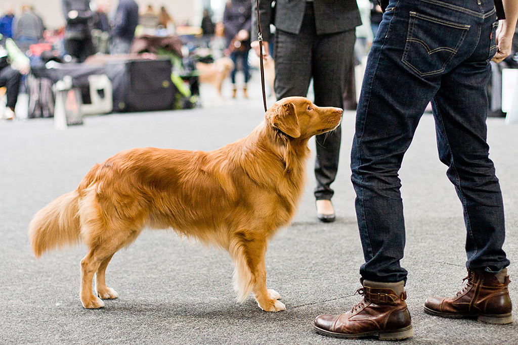 Edison steht in Pose vor Stephan während die Richterin sich ihn nochmal genau anschaut