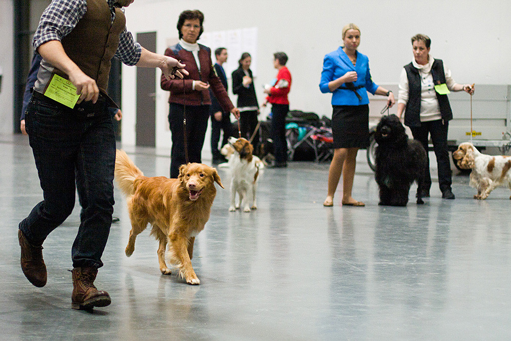 Edison läuft an Stephans Seite erneut nochmal alleine eine Runde