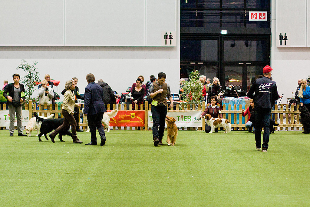 Edison wird in die Shortlist der Gruppe 8 gewählt und darf hervortreten