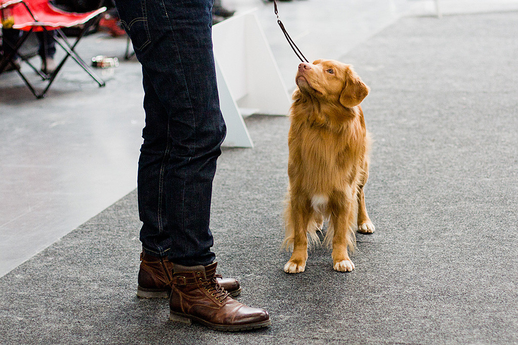 Edison steht vor Stephan und schaut fragend zu ihm hoch