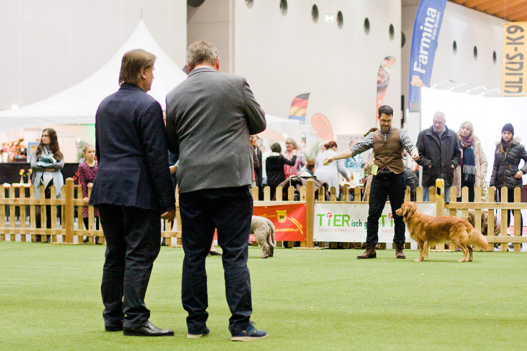 Edison kurz vor der Entscheidung des Richters Leos Jancik, der gerade dem Ringsprecher seine Platzierung bekannt gibt