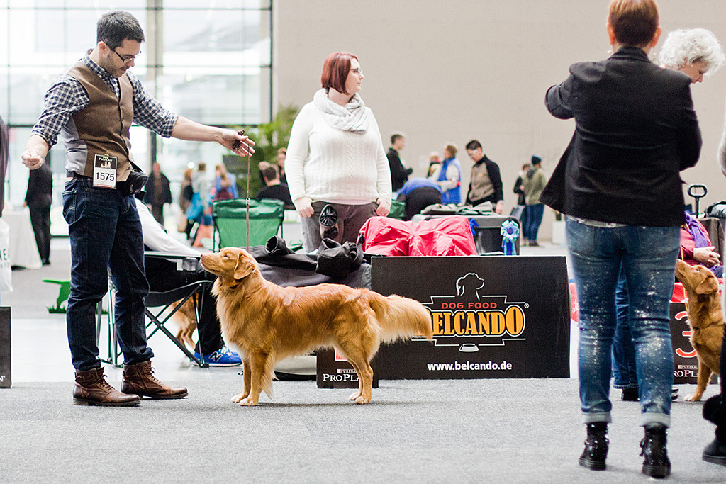Edison nimmt Aufstellung bei der Wahl zum Rassebesten