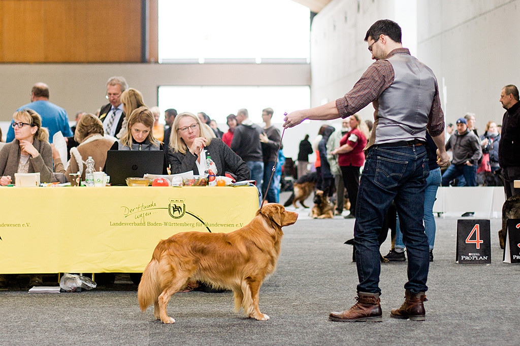 Edison steht vor dem Richtertisch während die Richterin ihren Bericht diktiert