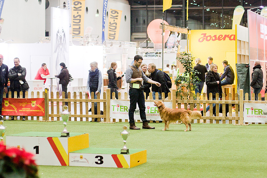 Edison steht vor Stephan im Ehrenring und grinst zu ihm hoch
