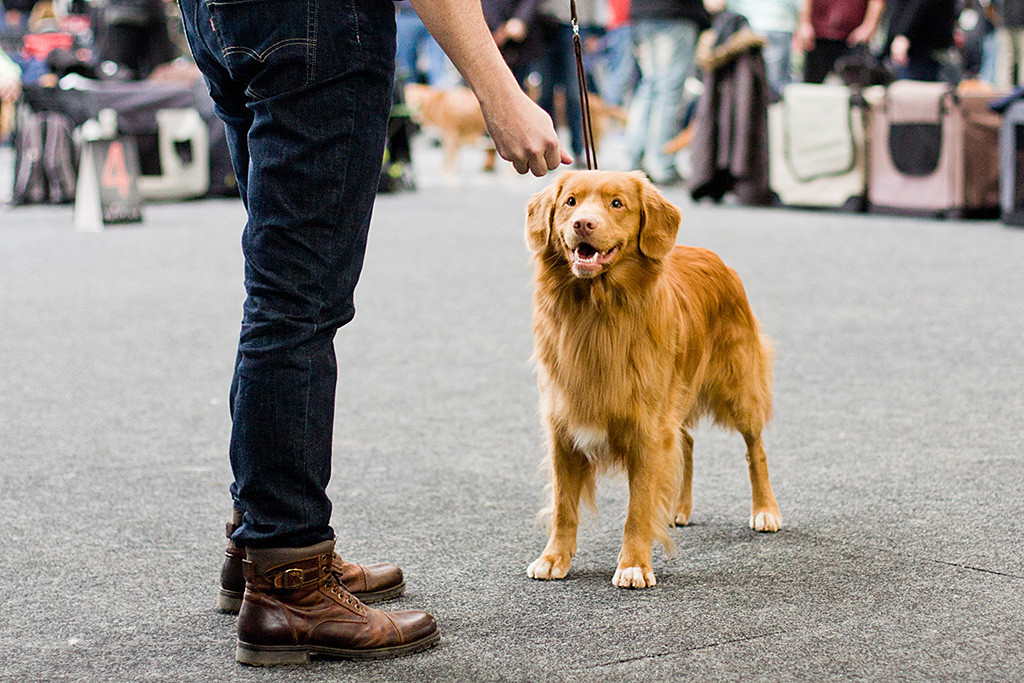Edison steht in Pose und lächelt dabei über beide Ohren