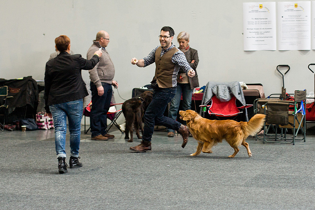 Edison wird von der Richterin zum besten Rüden erkoren