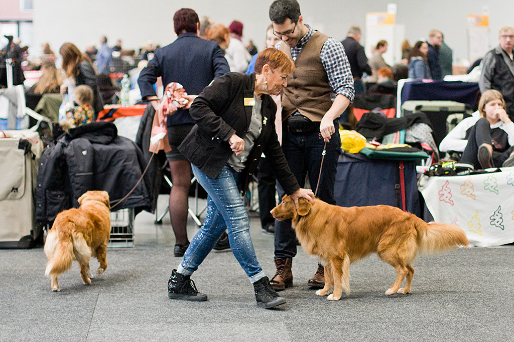 Edison wird von der Richterin über den Kopf gestreichelt