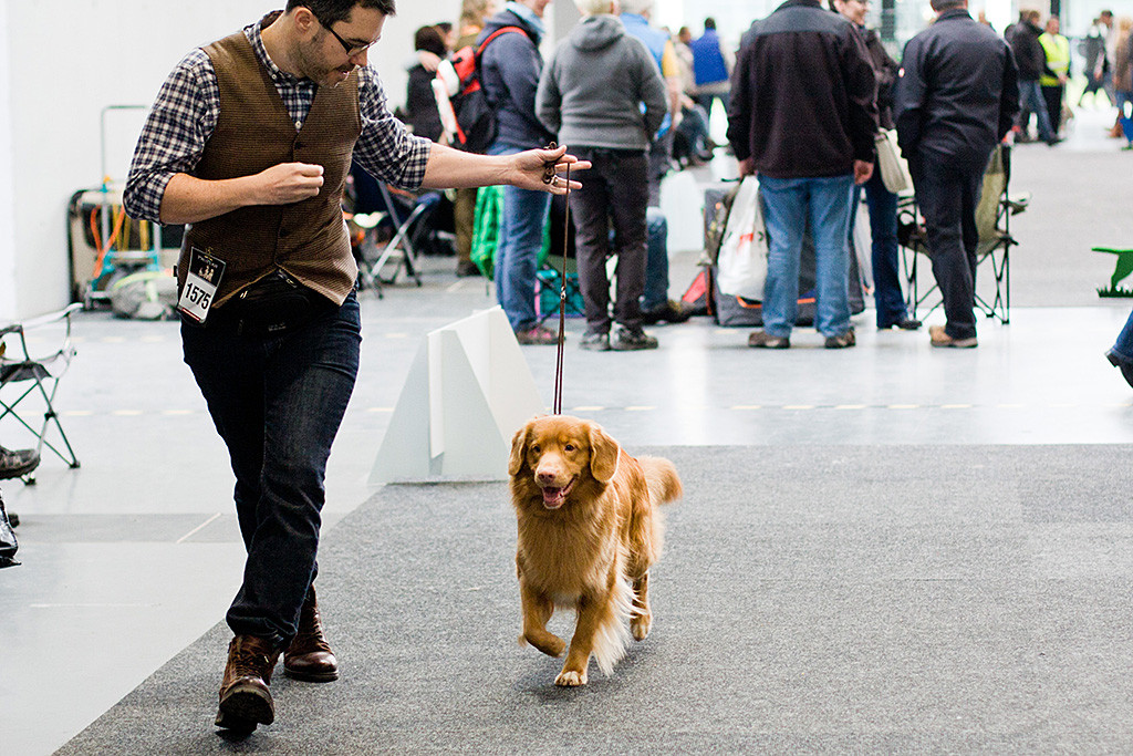 Edison läuft breit grinsend an Stephans Seite in den Ring ein