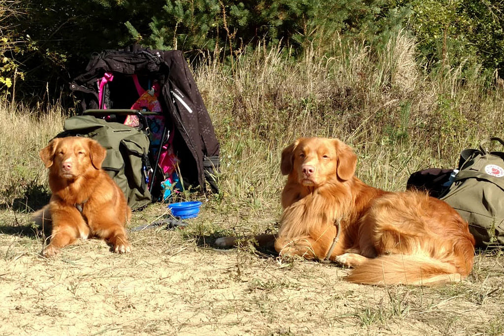 Edisons und Ivalu liegen im Sand und schauen mit zugekniffenen Augen gen Sonne in die Kamera