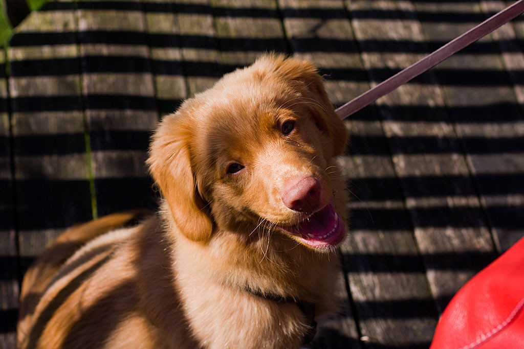 Edison lächelt in die Kamera
