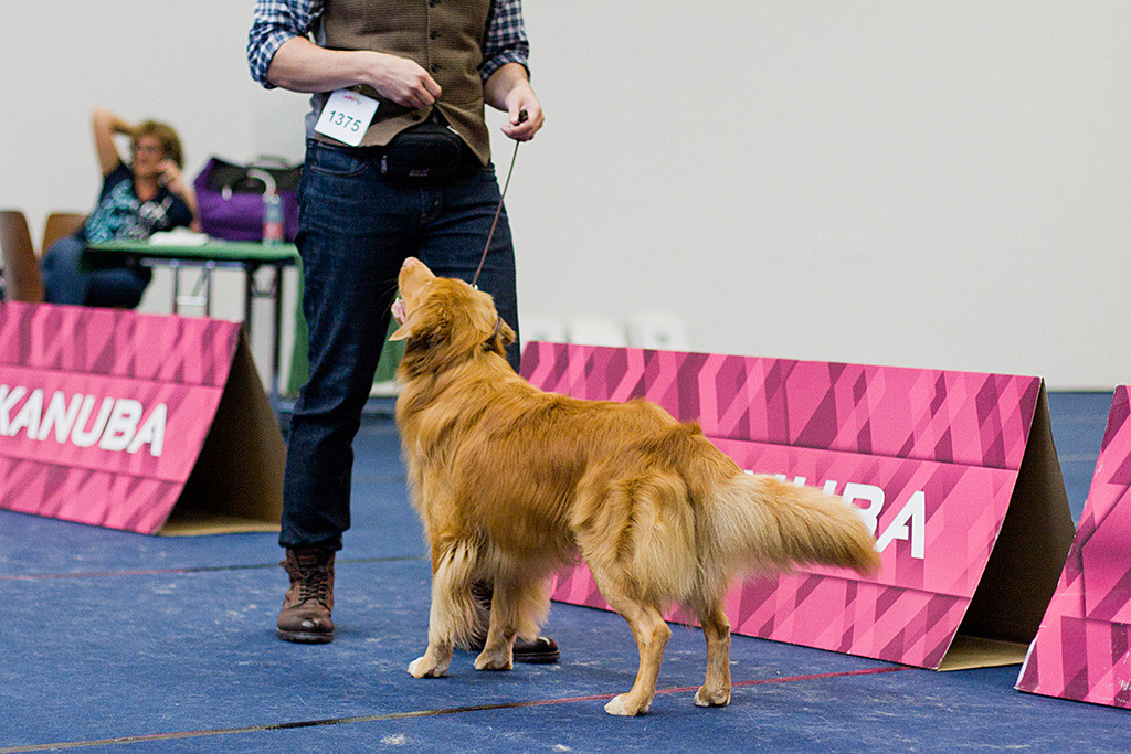 Edison steht mit Stephan im Ring und präsentiert sich