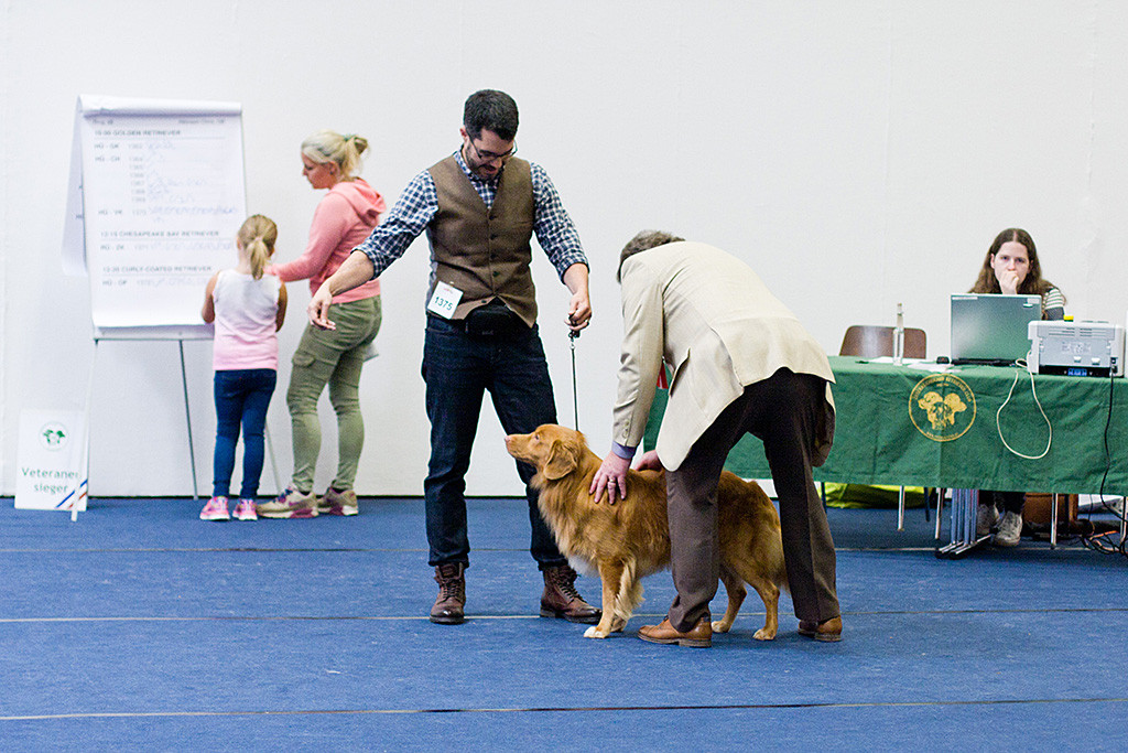 Edison wird vom Richter abgetastet