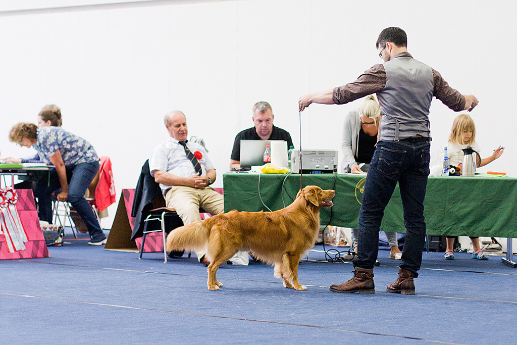 Edison steht vor dem Richtertisch, der Richter diktiert den Richterbericht