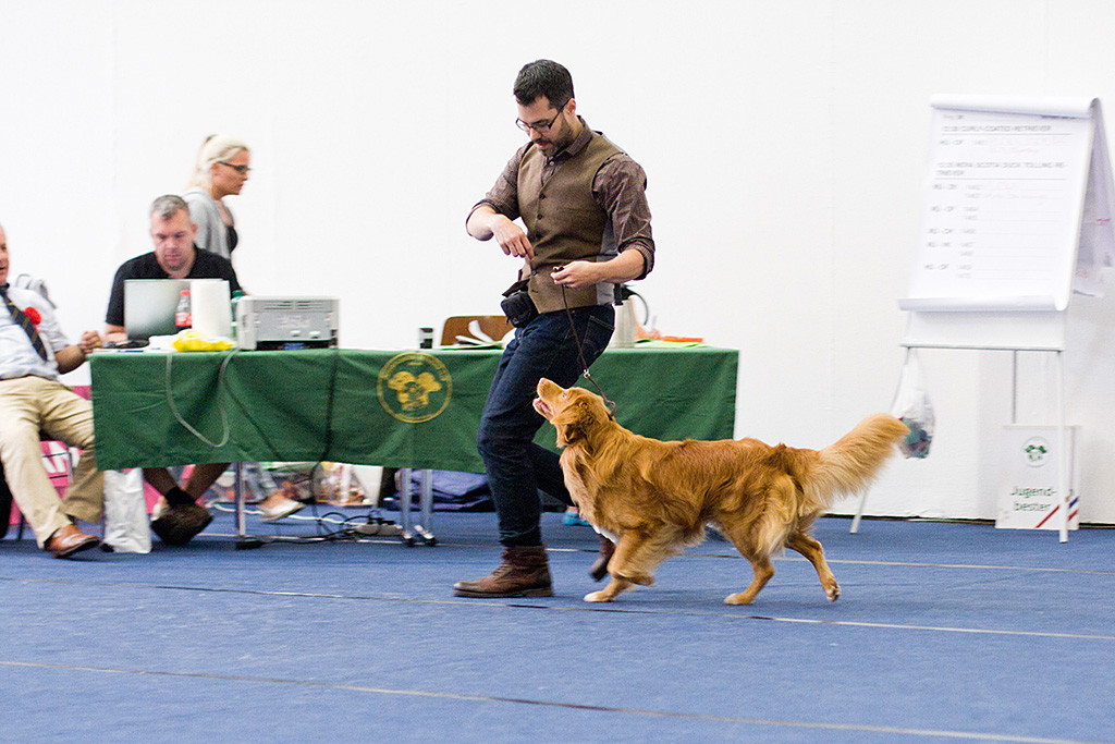 Edison läuft zu Stephan hochschauend mit ihm durch den Ring