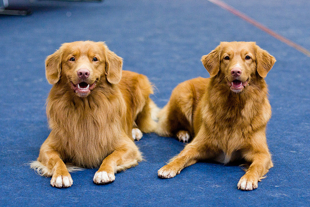 Edison liegt neben Ivalu auf dem blauen Ringteppich, beide lächeln in die Kamera