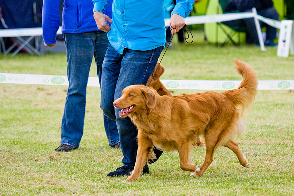 Edison läuft mit Stephan eine abschließende Runde und lächelt dabei