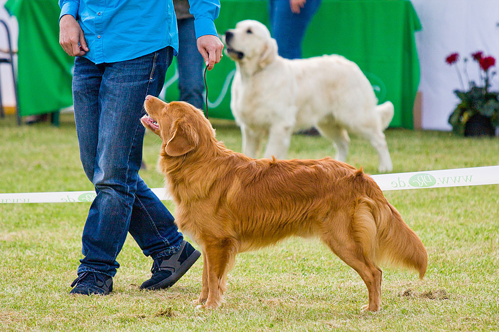 Edison steht in Pose, dahinter Stephan, der um ihn herum geht
