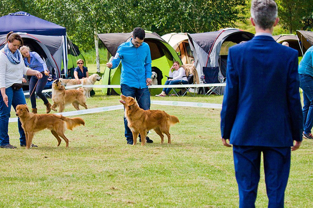 Nanaimo Cassin’s Keijo-Pelle und Edison reihen sich auf