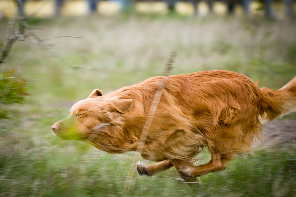Edison sprintet stromlinienförmig und geschlossenen Augen zum Dummy