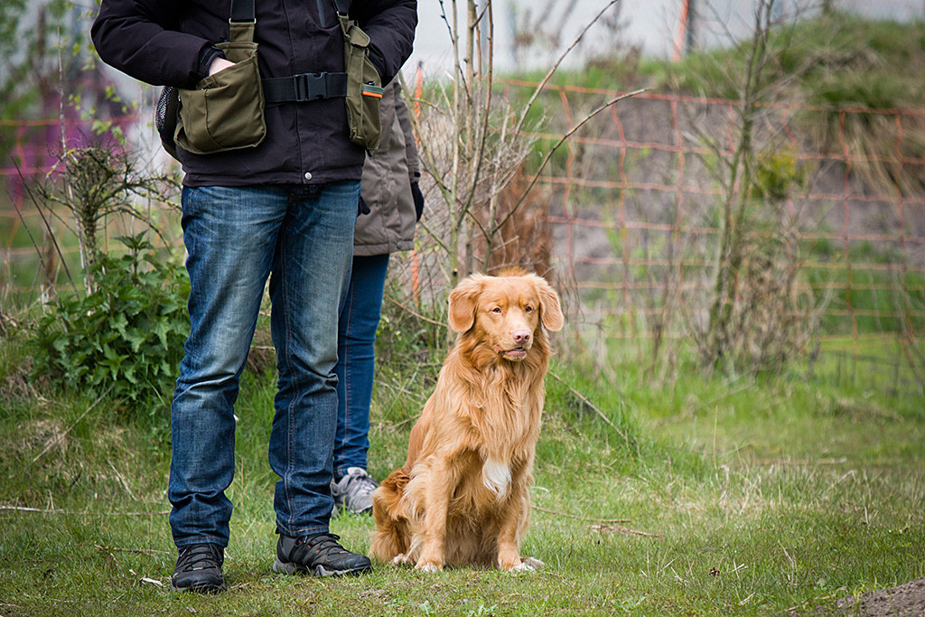 Edison sitzt aufmerksam neben Stephan und schaut den anderen beim Arbeiten zu