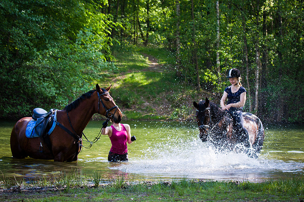 Zwei Pferde stehen mit ihren Reiterinnen bis zum Bauch im See und  kühlen sich im See ab