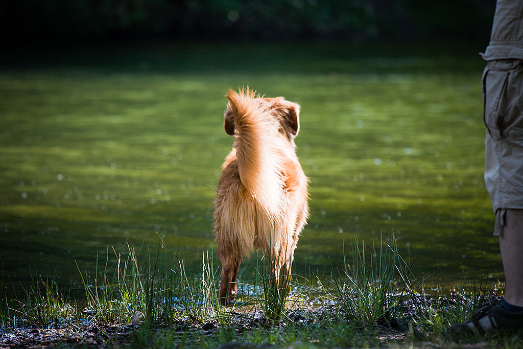 Edison steht mit Stephan am Ufer und schaut auf den See raus