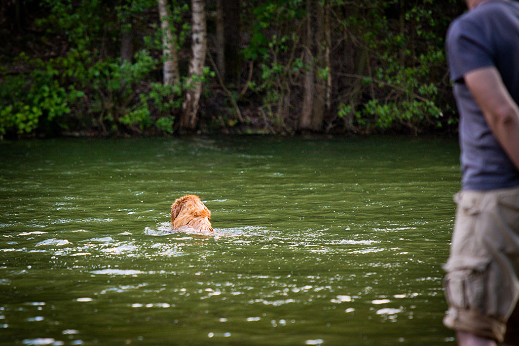 Edison schwimmt raus während Stephan dabei zusieht
