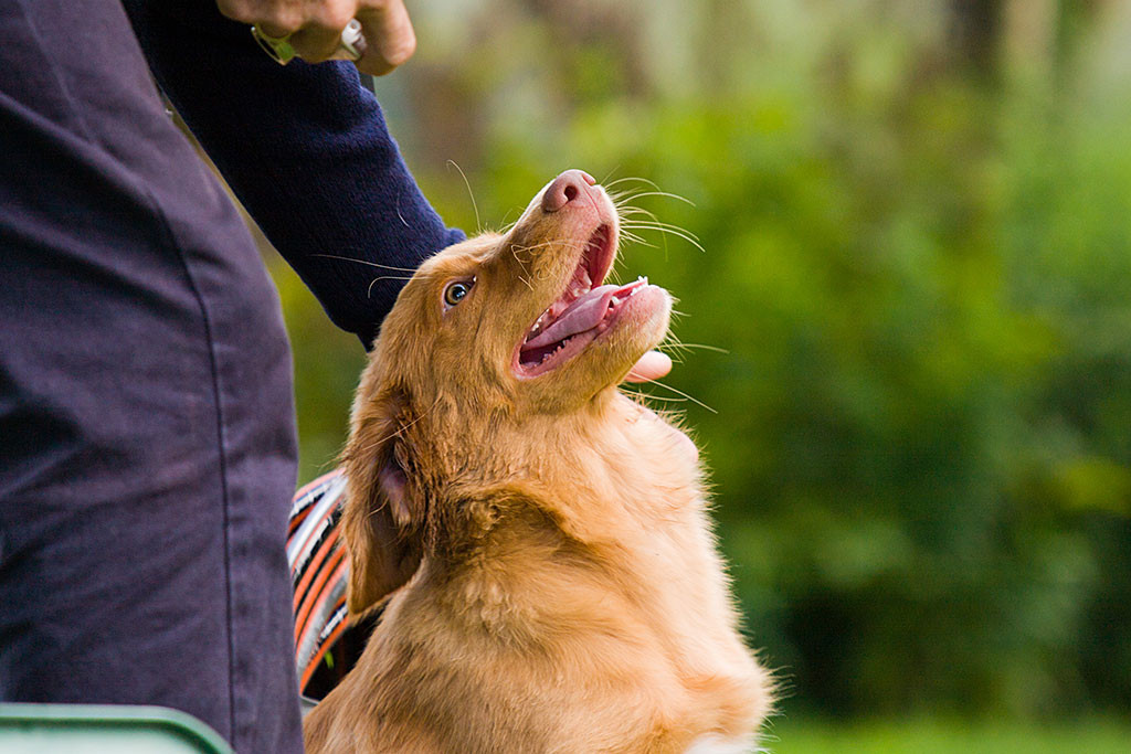 Edison sitzt an Norberts Beinen und hat ein breites Lachen im Gesicht