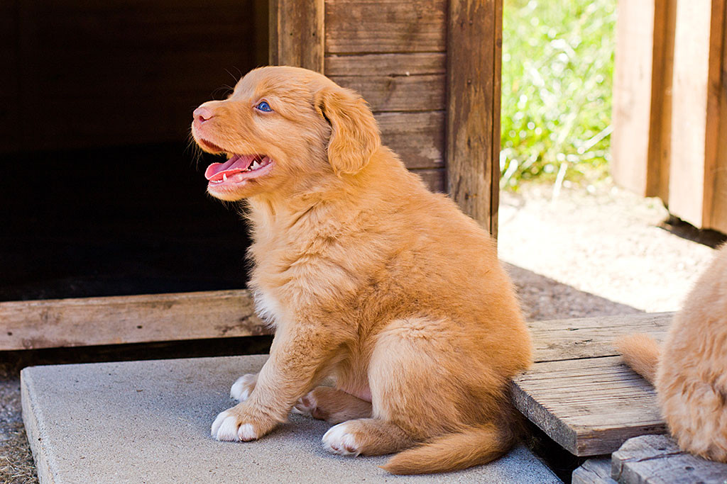 ein lächelnder Edison