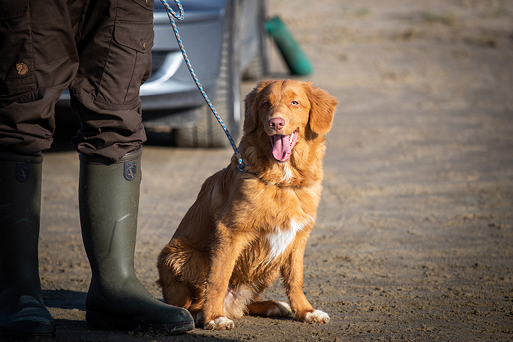 Newton sitzt angeleint neben Stephan und lächelt zufrieden