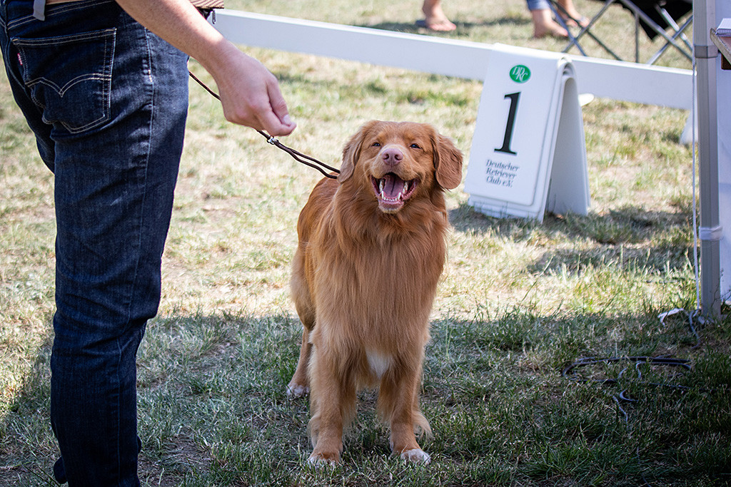 Edison steht frontal vor Stephan und lächelt zu ihm hoch