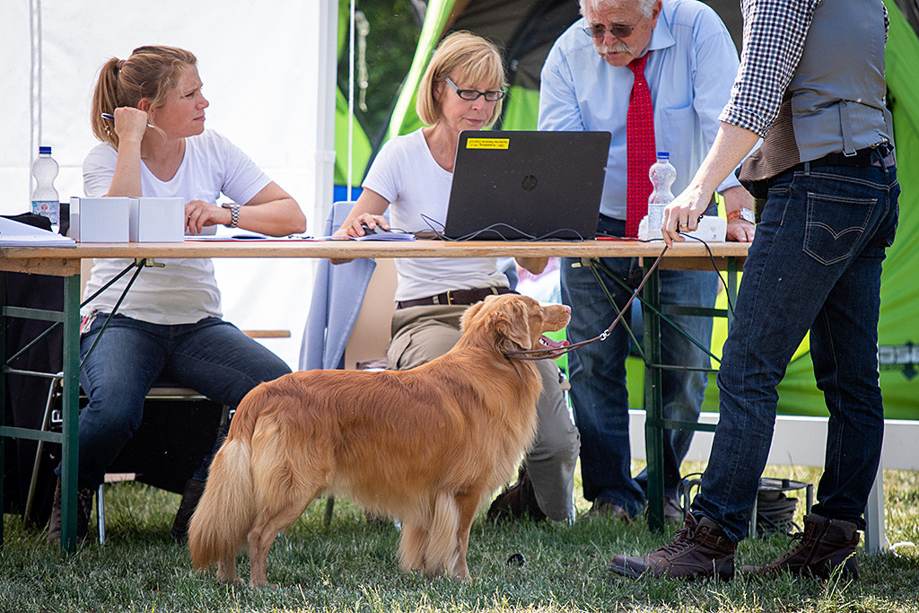 Edison steht mit Stephan seitlich vor dem Richtertisch, dahinter die zwei Helfer und der Richter, der den Bericht diktiert